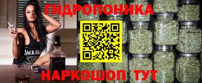 a pvp Усть-Джегута
