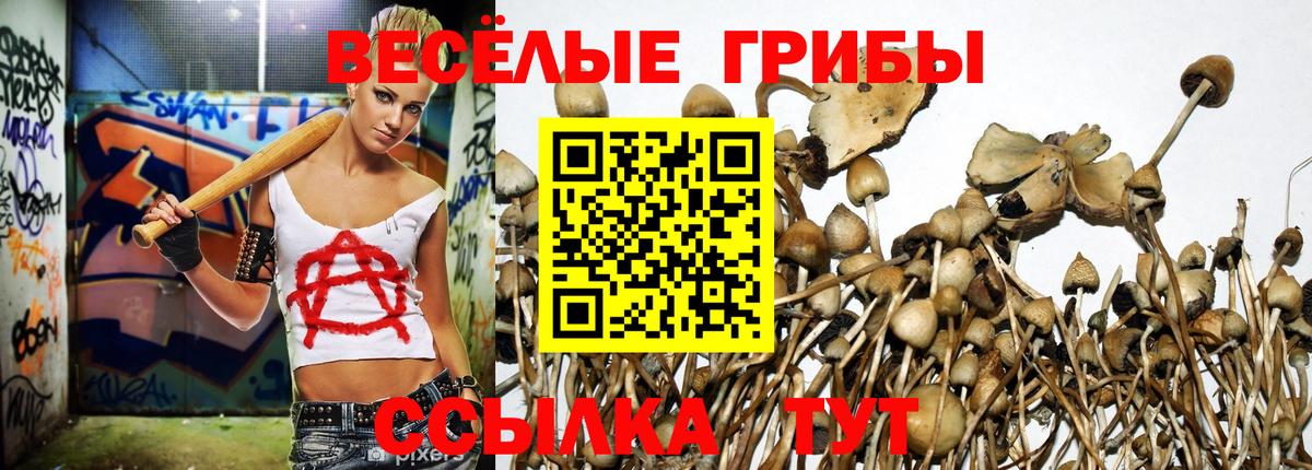Галлюциногенные грибы GOLDEN TEACHER  Вход с VPN  Волжский 